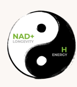Longevity und Energie in einem Molekül vereint - NADH