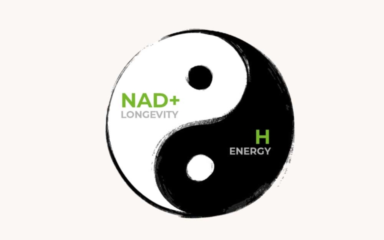 Longevity und Energie in einem Molekül vereint - NADH